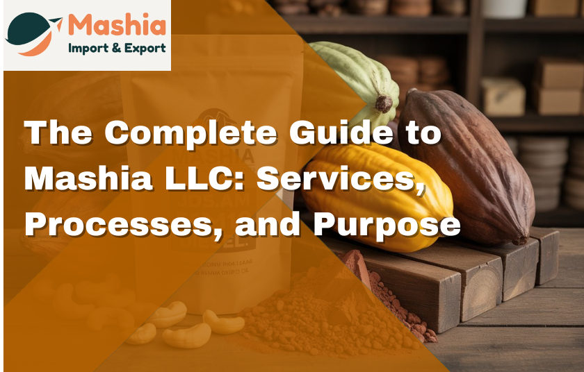 The Complete Guide to Mashia LLC: Services, Processes, and Purpose